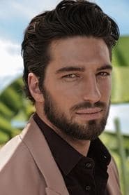 阿尔维斯·里戈