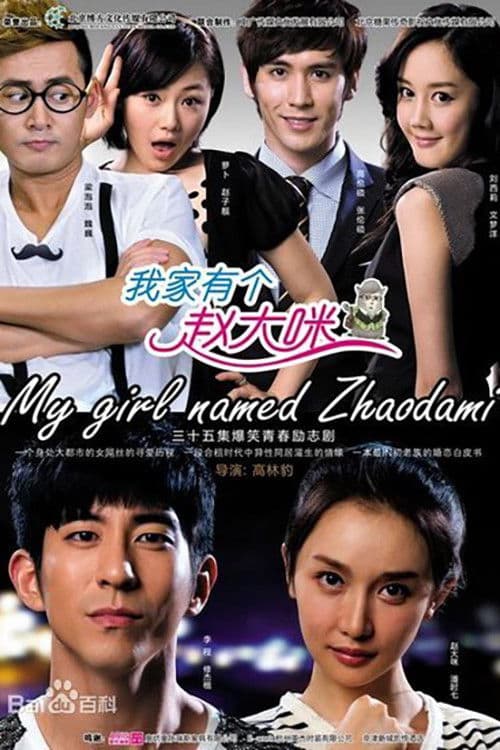 我家有个赵大咪