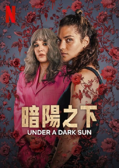 暗阳之下