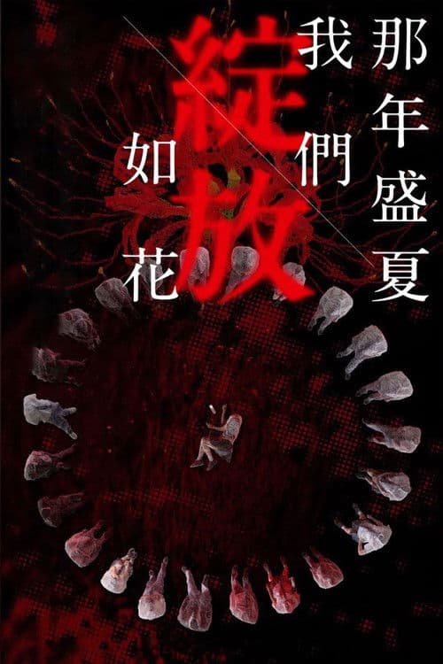 那年盛夏我们绽放如花