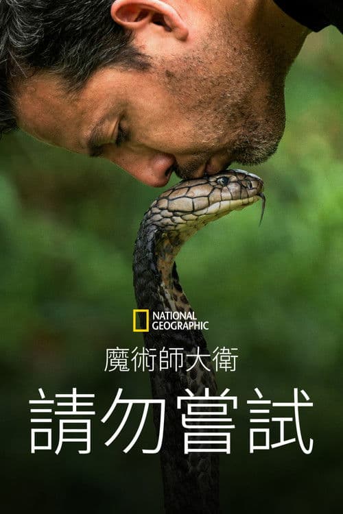 大卫·布雷恩：请勿尝试