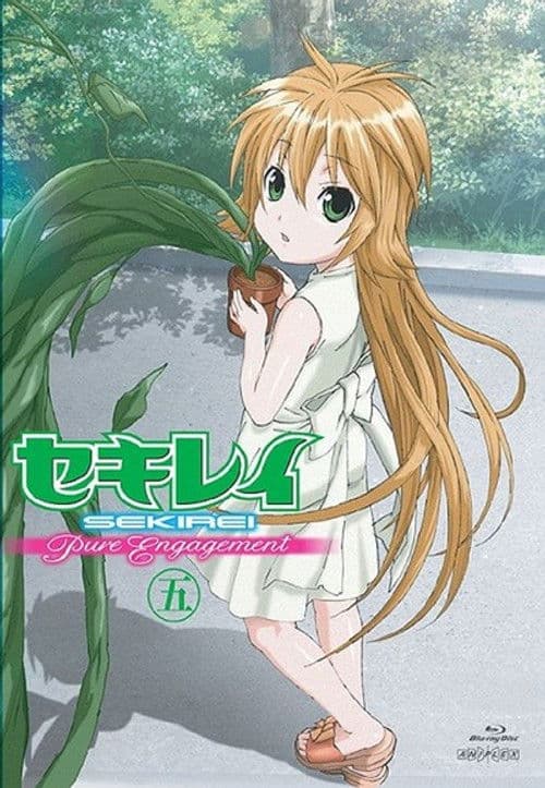 鹡鸰女神第二季