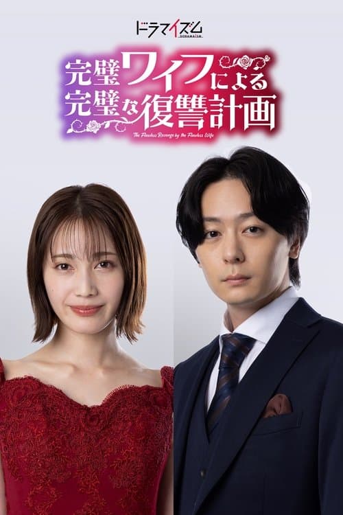 完美妻子的完美复仇计划