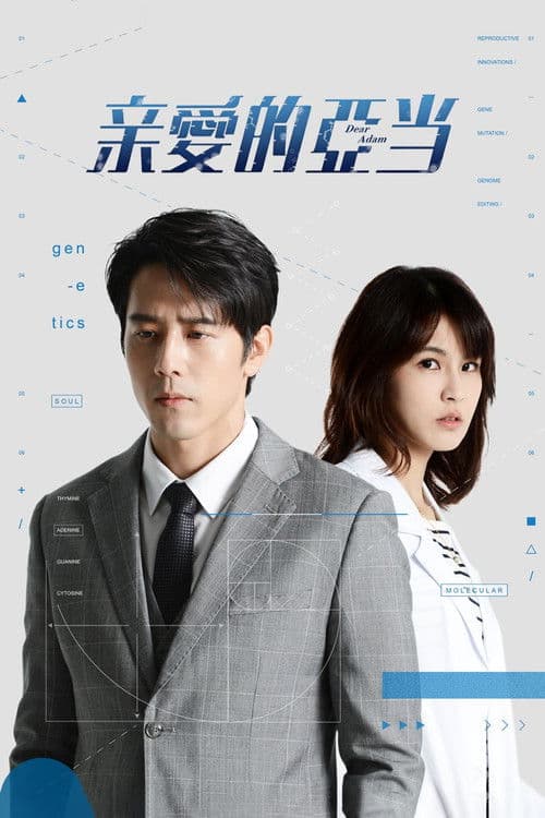 亲爱的亚当