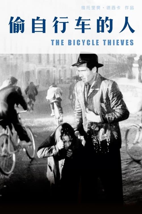 偷自行车的人