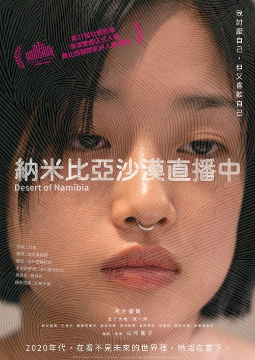 纳米比亚的沙漠