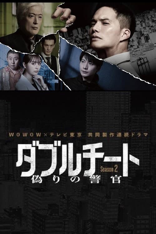 双面骗子虚假警察第二季