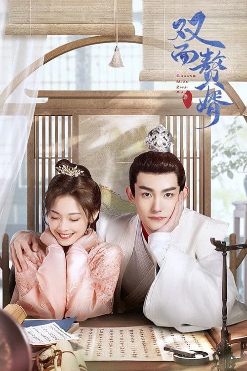 双面赘婿第二季