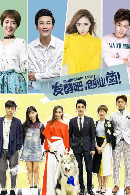 发酵吧，创业菌