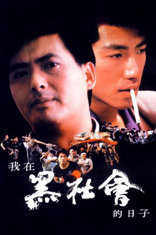 我在黑社会的日子