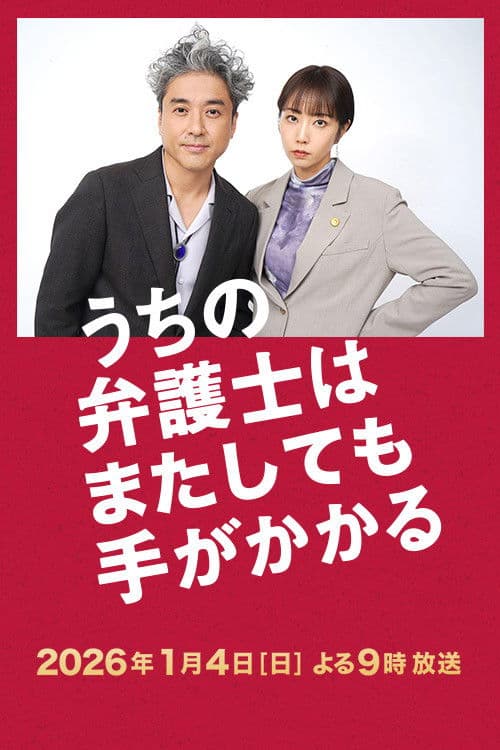 我家的律师又惹麻烦了