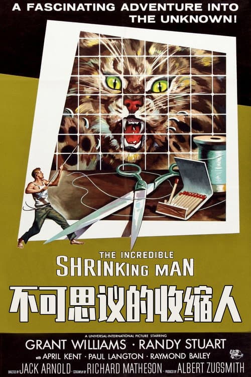 不可思议的收缩人