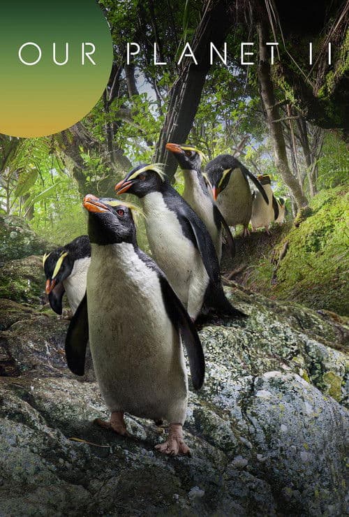 我们的星球第二季